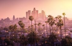 Los Angeles downtown skyline and palm trees in foreground