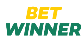 f12 bet cnpj