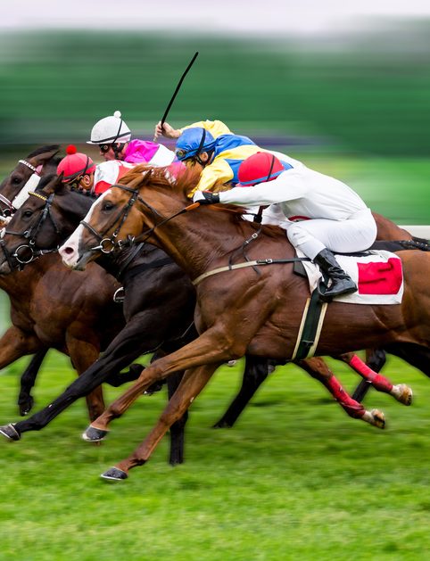 Horse Racing Background Image
