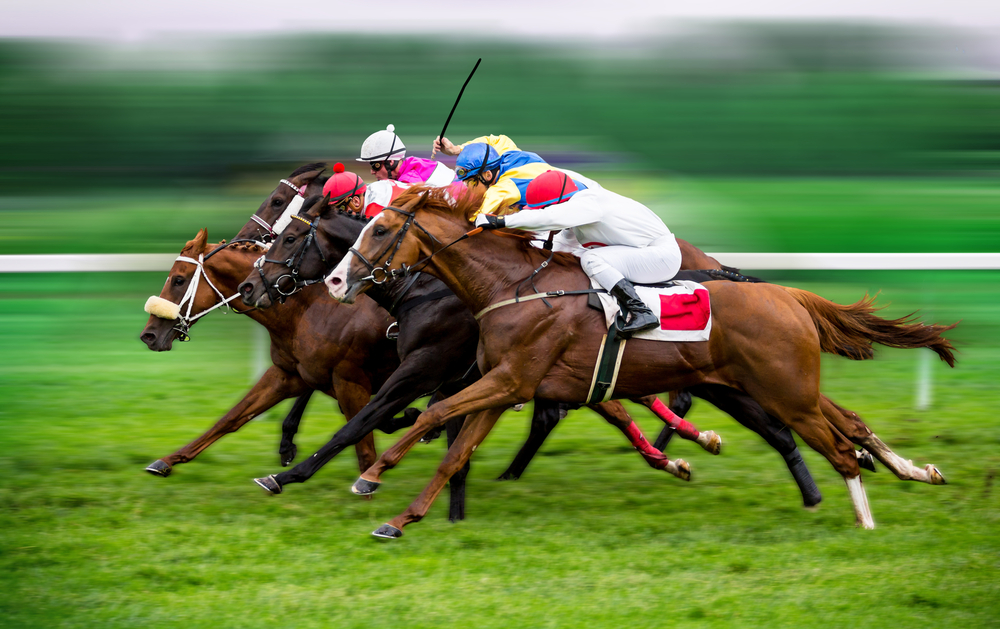 Your Key To Success: horse racing