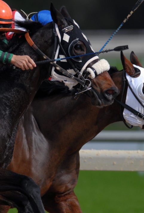 Horse racing