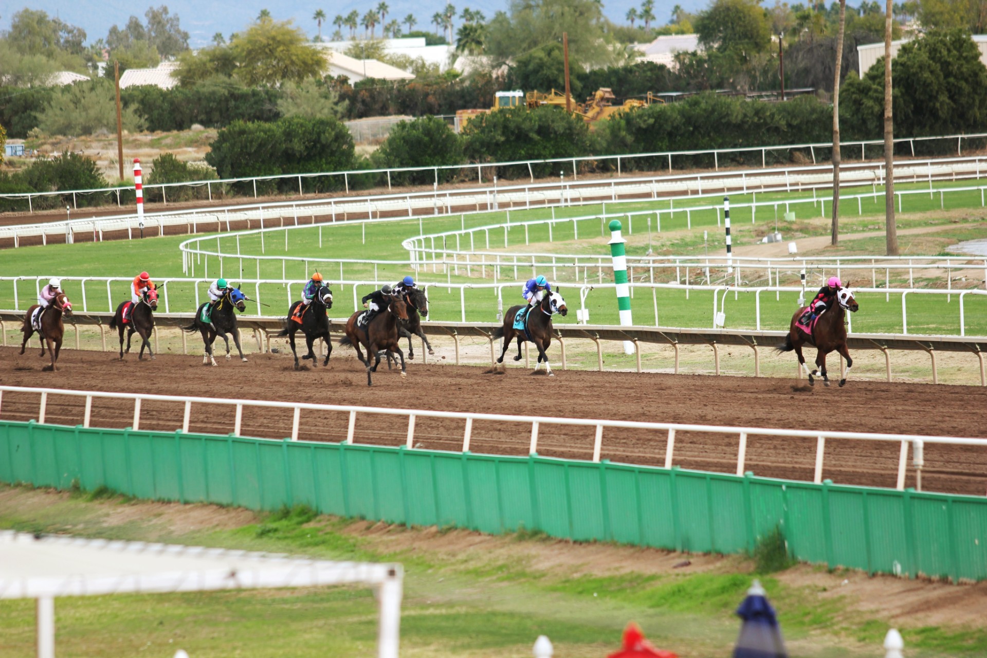 Horse Racing Betting