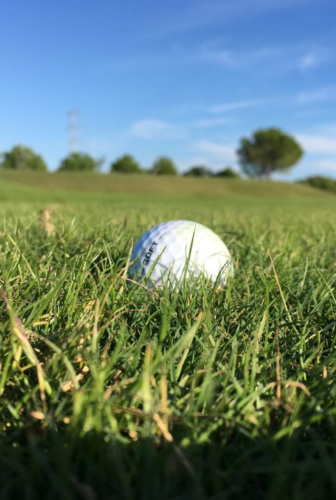 Golf ball in grass