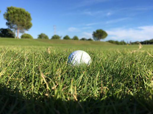 Golf ball in grass