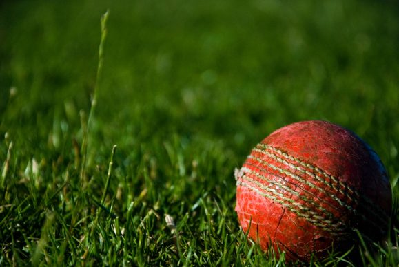 cricket world cup 2023 betting
