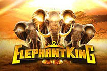 Elephant King Slot Logo
