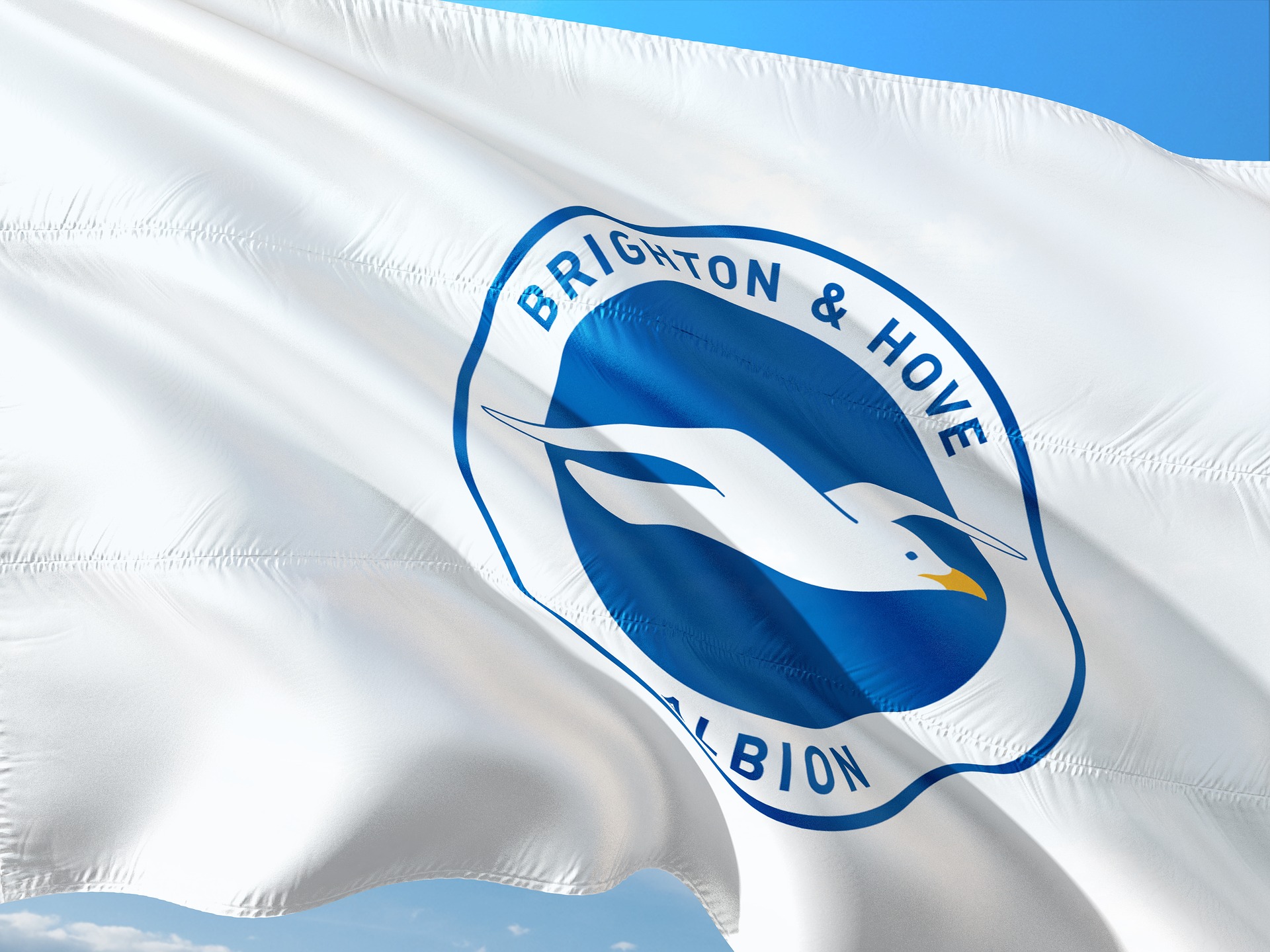 Brighton & Hove Albion Football Team Flag