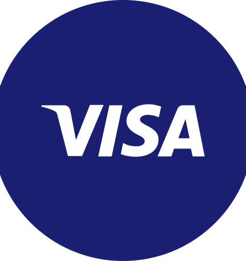 Visa round icon