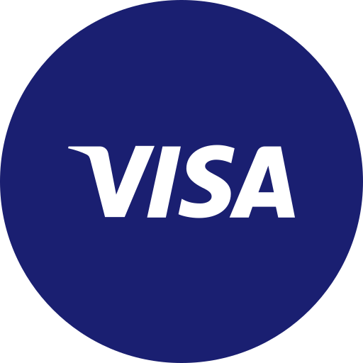 Visa round icon