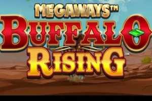 Buffalo Rising Megaways