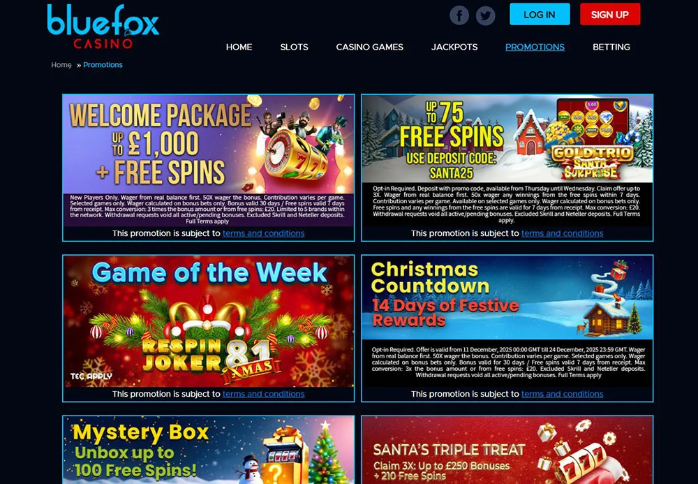BlueFox Casino Promotions