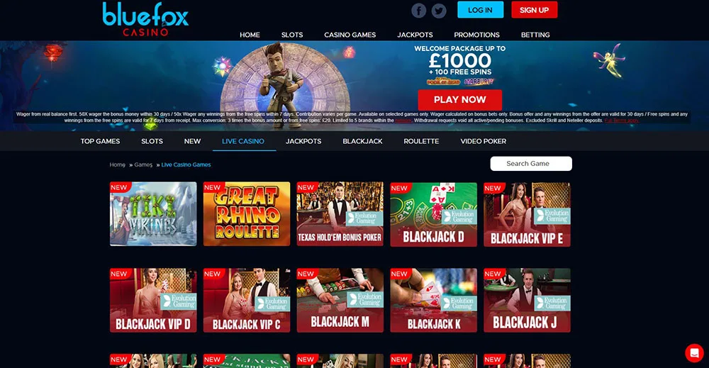 BlueFox Live Casino