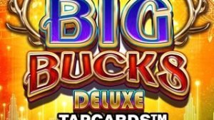 Big Bucks Deluxe Tapcards