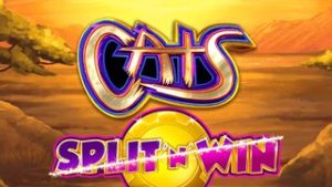 Cats Split ‘n’ Win