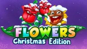Flowers Christmas Edition