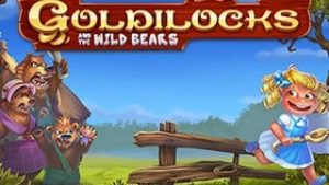 Goldilocks and the Wild Bears