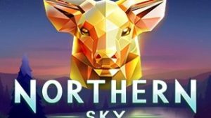 Northern Sky