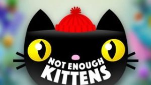 Not Enough Kittens