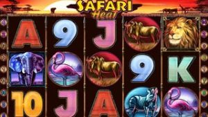 Safari Heat