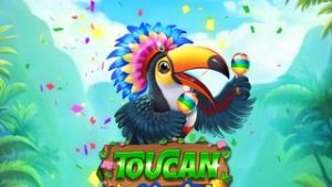 Toucan Mania