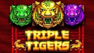 Triple Tigers