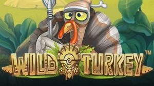 Wild Turkey