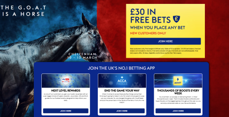skybet cheltenham offer day 4