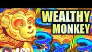 Wealthy Monkey