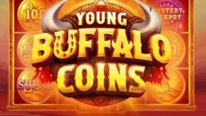 Young Buffalo Coins